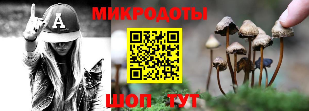 Кушва  Псилоцибиновые грибы Psilocybe  Вход с VPN 